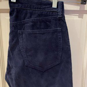 Banana Republic Navy Pima Cotton Corduroy Pants Never Worn 32 Waist 30 Length